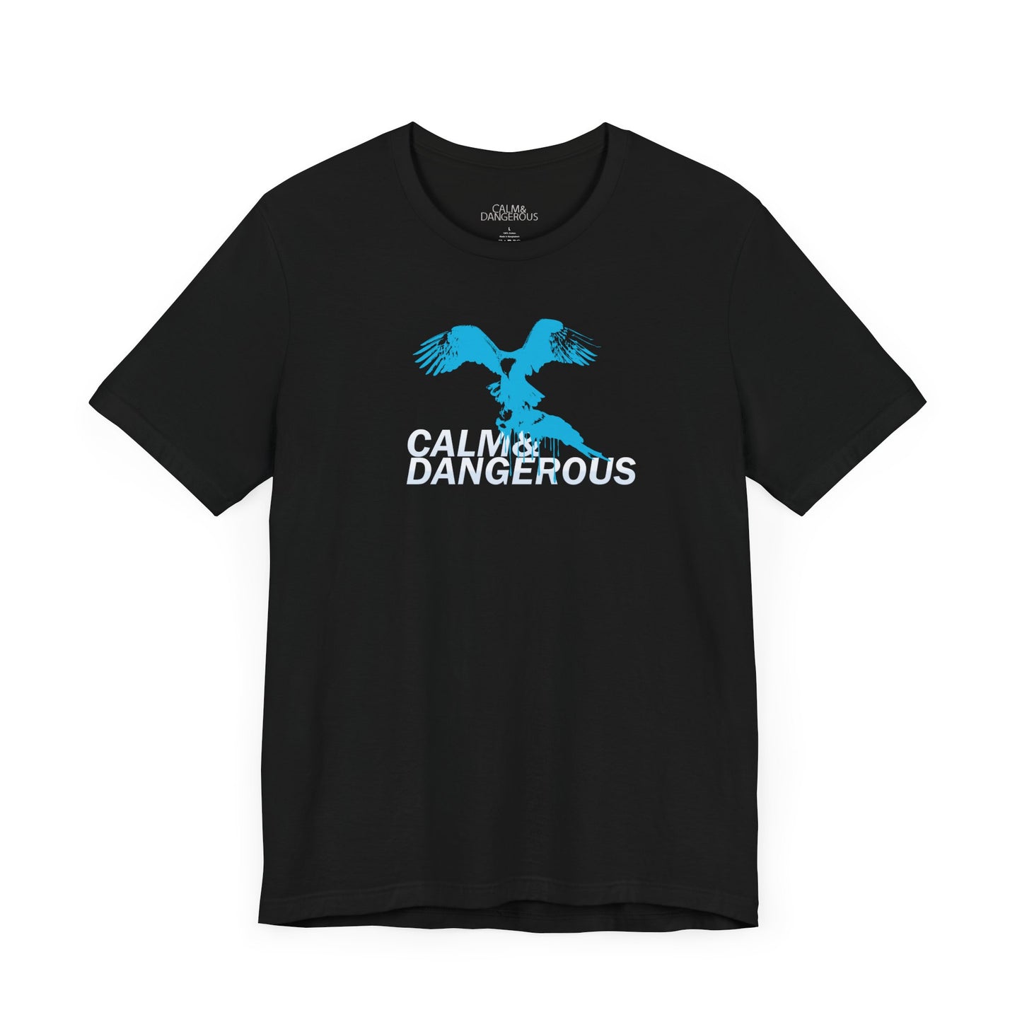 The Eagle Eye Tee (aqua)