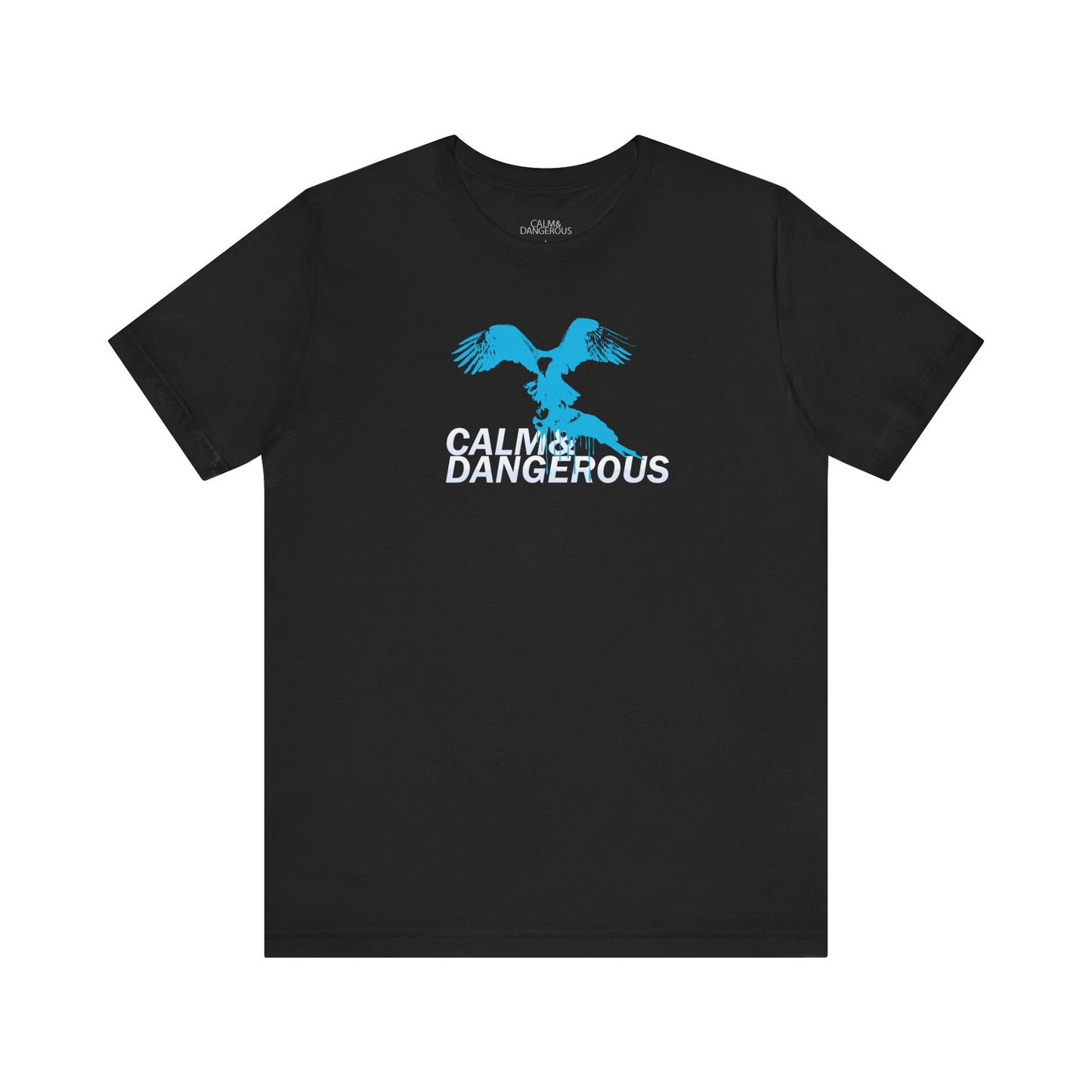 The Eagle Eye Tee (aqua)