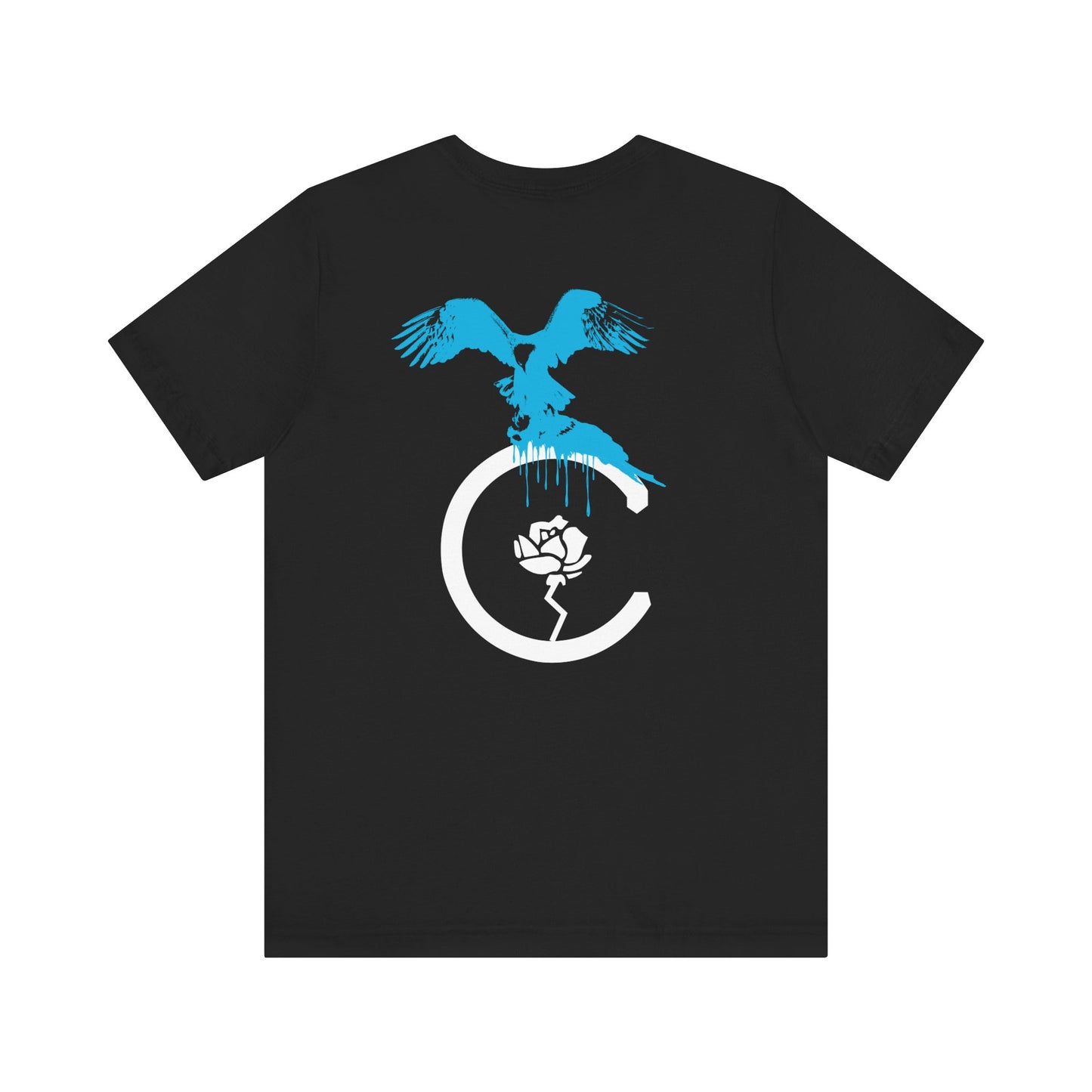 The Eagle Eye Tee (aqua)