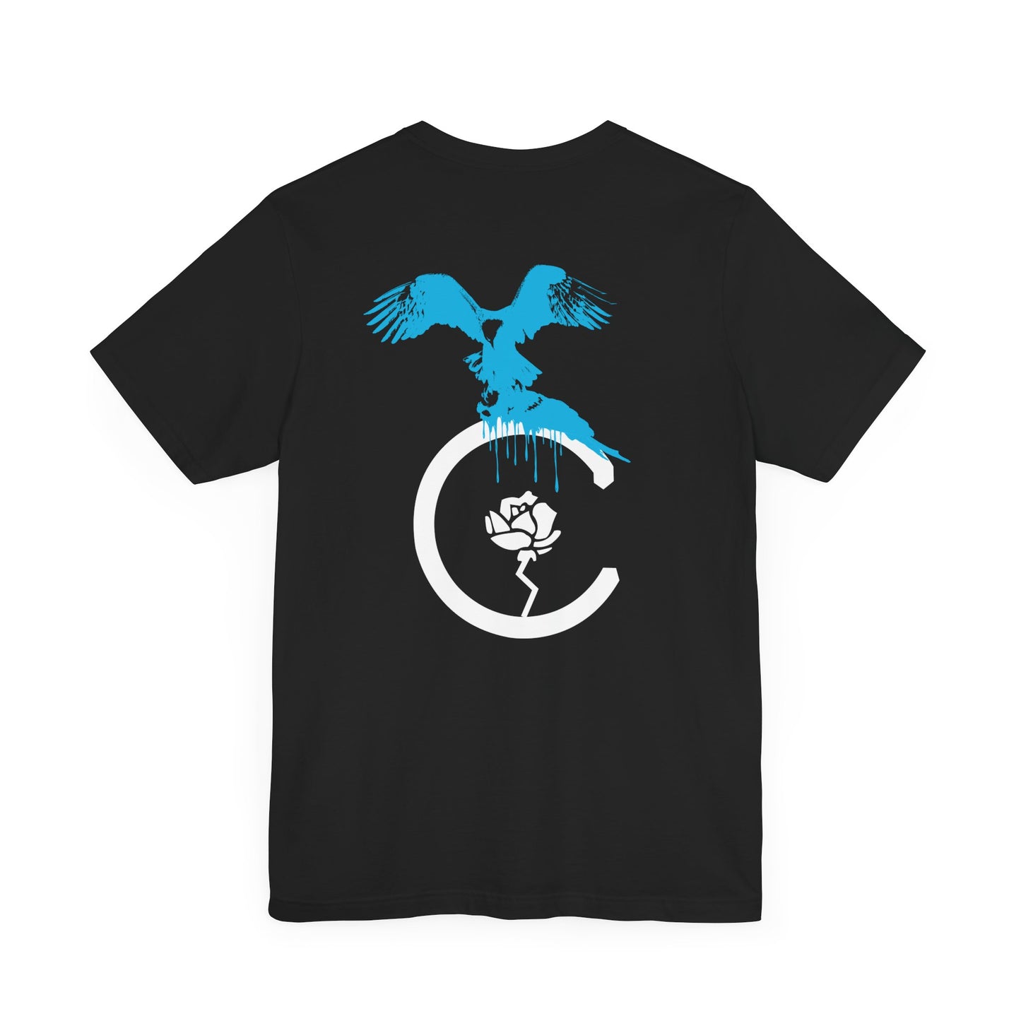 The Eagle Eye Tee (aqua)